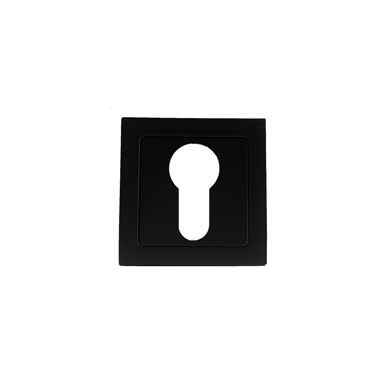 QS4473 EURO - Image 2